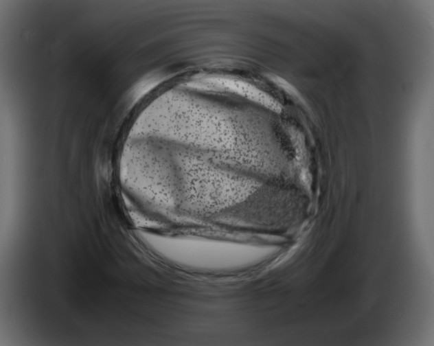 X0000082971065200703020229