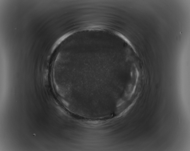 X0000082971066200703020229