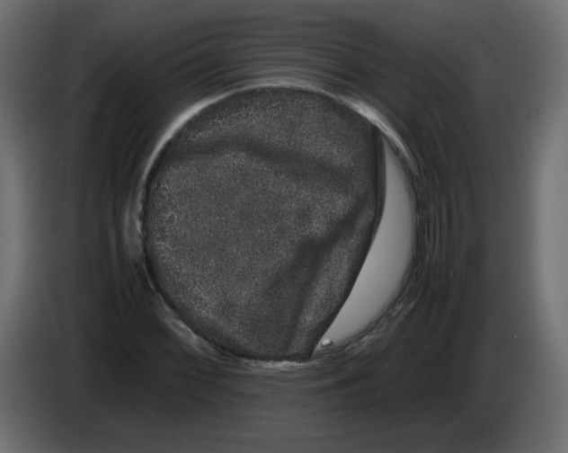 X0000082971068200703020229