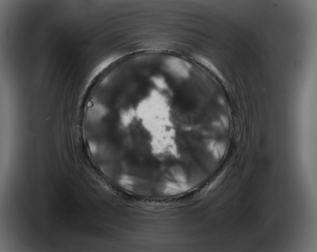 X0000082971071200703020229