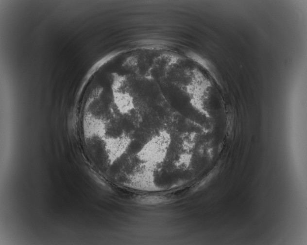 X0000082971074200703020229