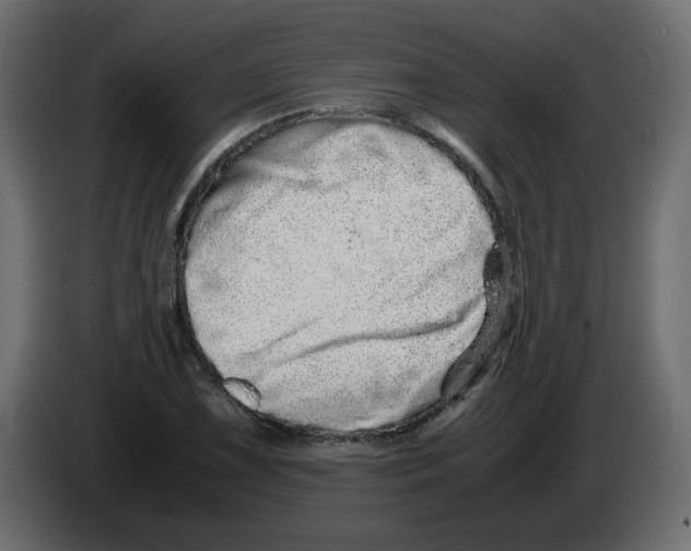 X0000082971075200703020229