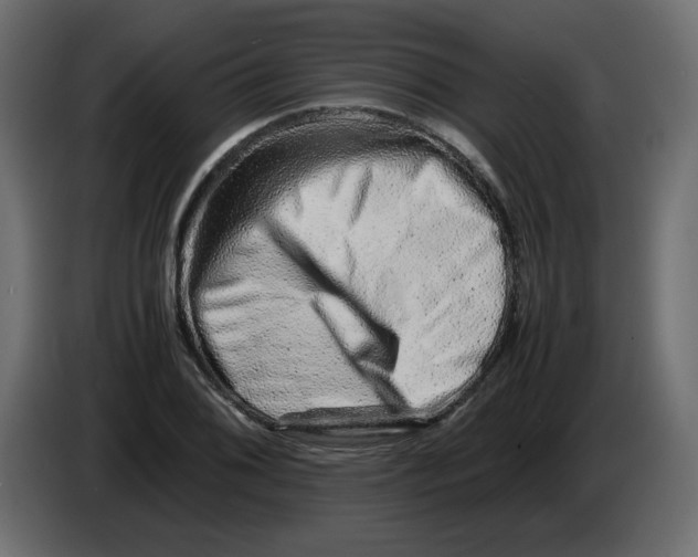 X0000082971076200703020229