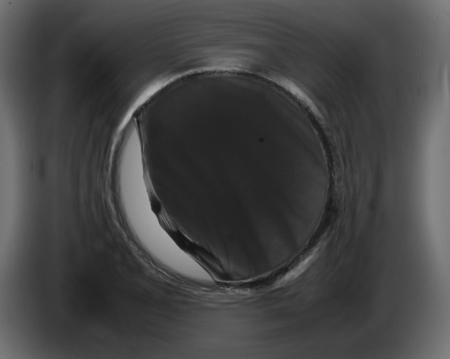 X0000082971077200703020229