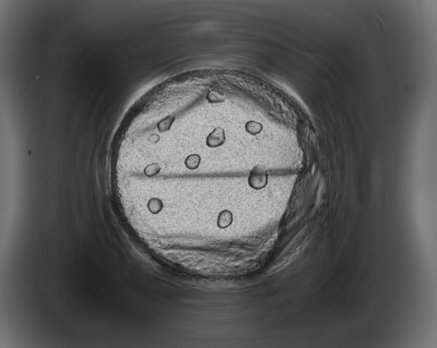 X0000082971079200703020229