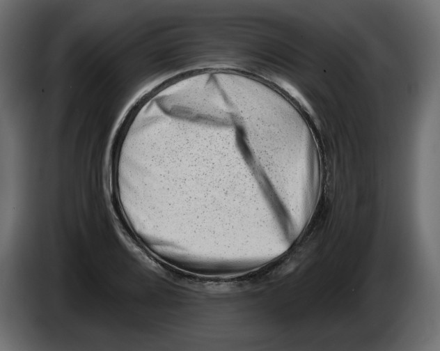 X0000082971080200703020229