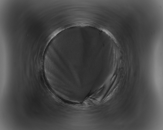 X0000082971081200703020229