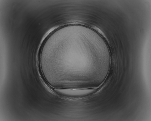 X0000082971082200703020229