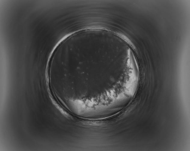 X0000082971084200703020229