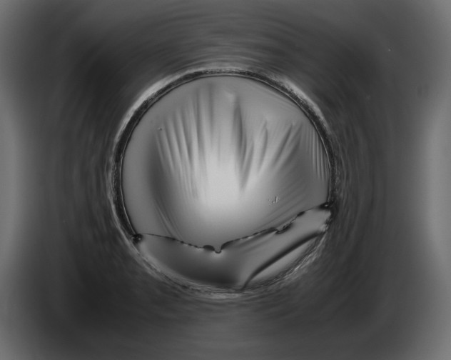 X0000082971085200703020229