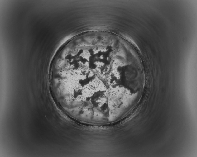 X0000082971087200703020229