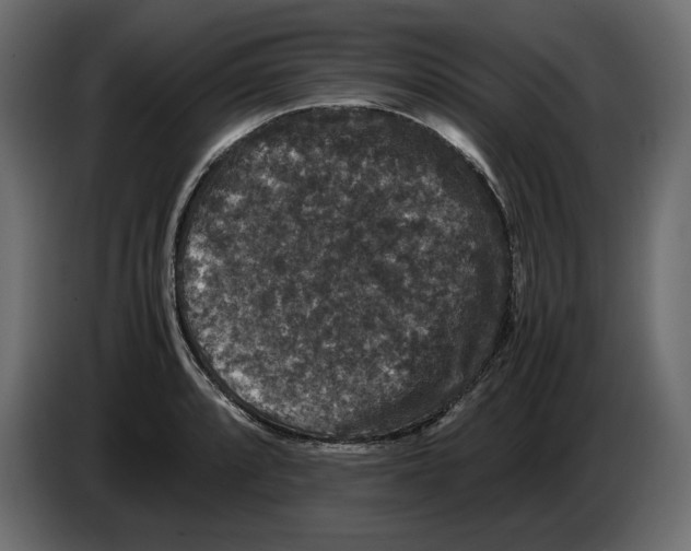X0000082971088200703020229