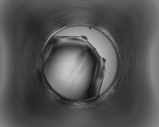 X0000082971089200703020229