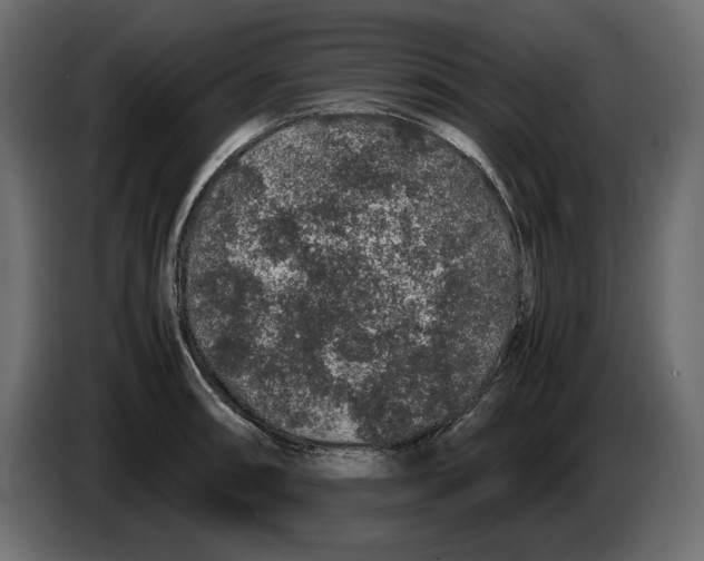 X0000082971090200703020229