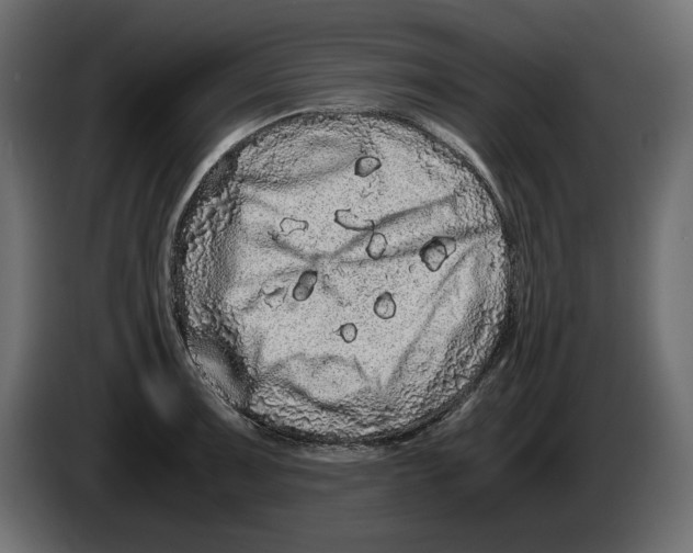 X0000082971091200703020229