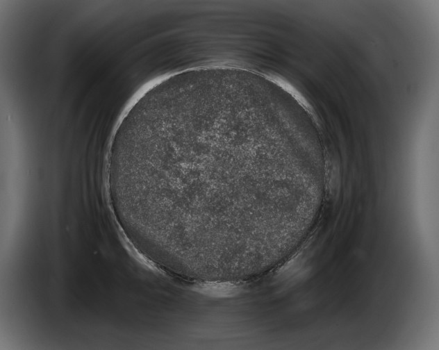 X0000082971094200703020229