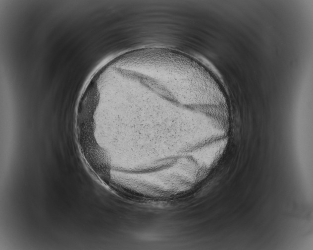 X0000082971096200703020229