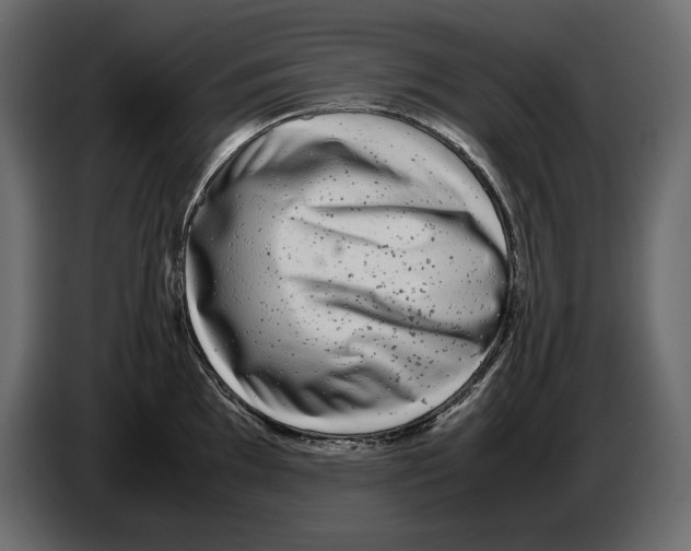 X0000082971097200703020229