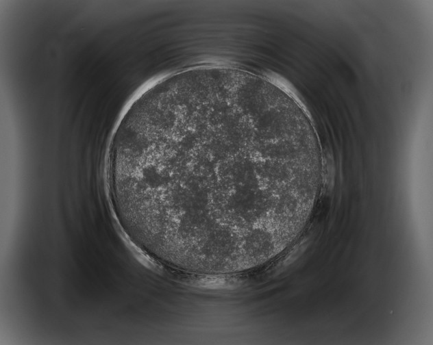 X0000082971098200703020229