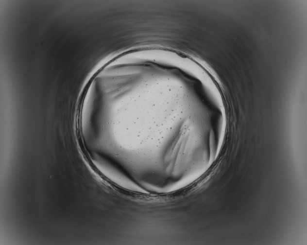 X0000082971101200703020229