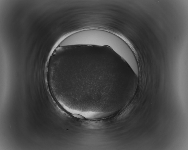 X0000082971102200703020229