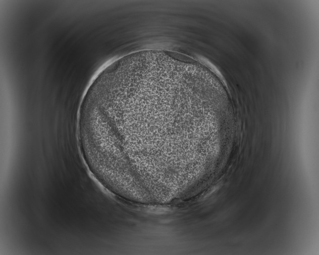 X0000082971103200703020229