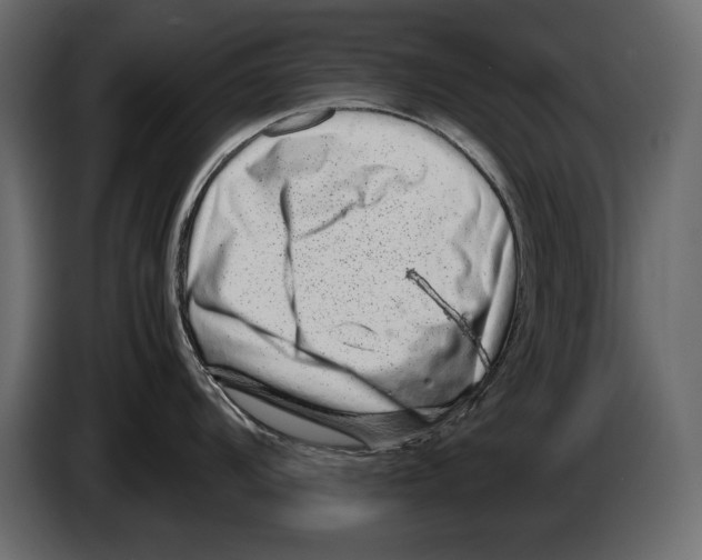 X0000082971104200703020229