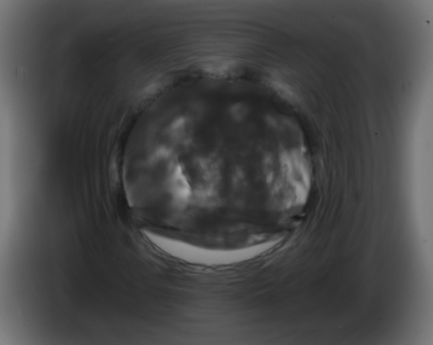 X0000082971106200703020228