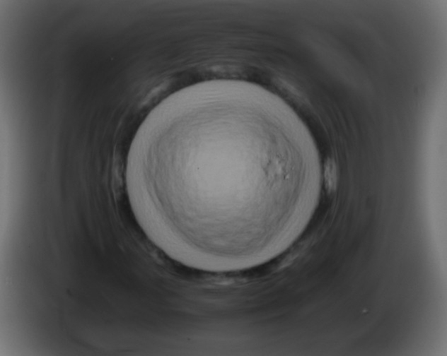 X0000082971107200703020228