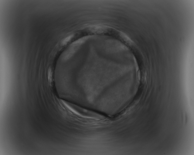 X0000082971108200703020228