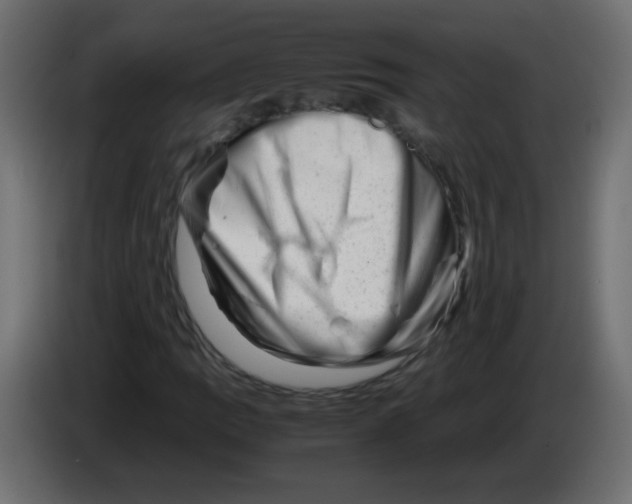 X0000082971109200703020228