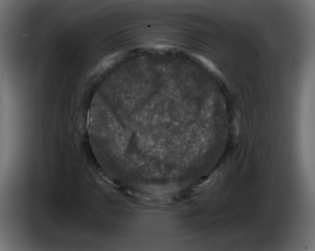 X0000082971110200703020228