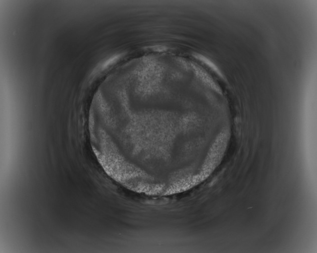 X0000082971111200703020228