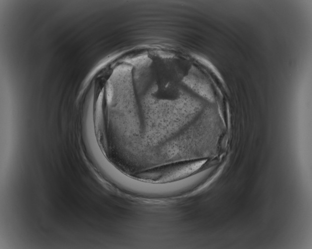 X0000082971114200703020228