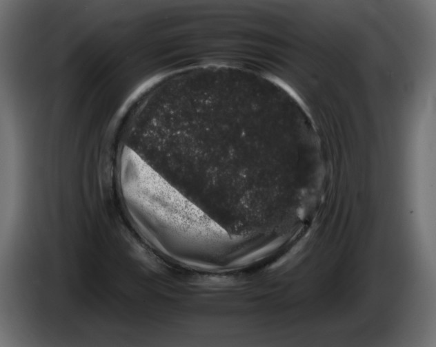 X0000082971115200703020228