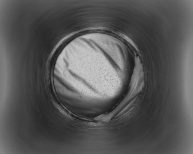 X0000082971116200703020228