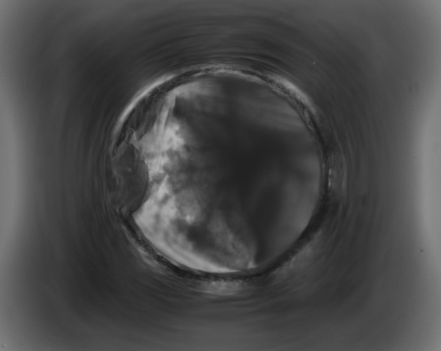 X0000082971117200703020228