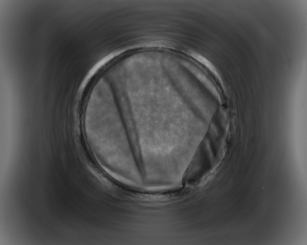 X0000082971120200703020228