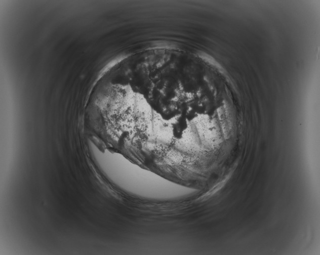 X0000082971121200703020228