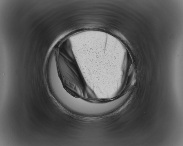 X0000082971122200703020228