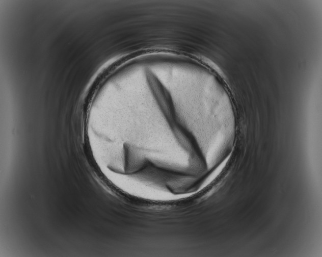 X0000082971123200703020228