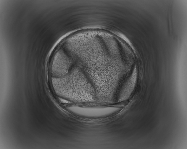 X0000082971124200703020228