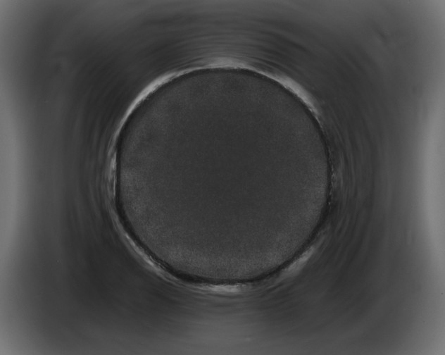 X0000082971126200703020228