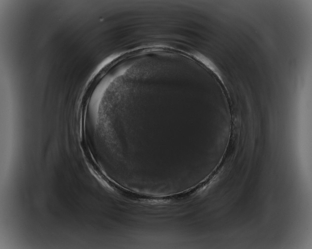 X0000082971127200703020228