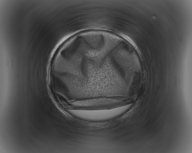 X0000082971128200703020228