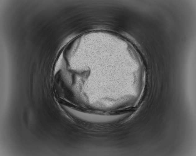 X0000082971129200703020228