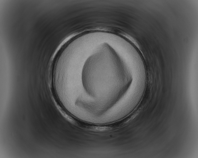 X0000082971131200703020228