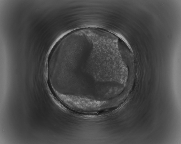 X0000082971132200703020228