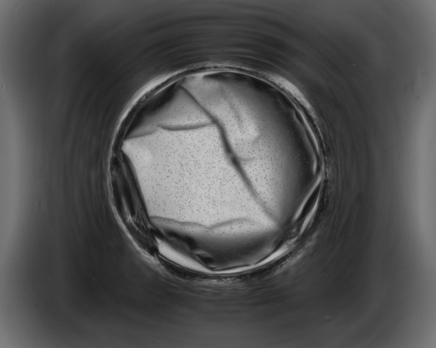 X0000082971133200703020228