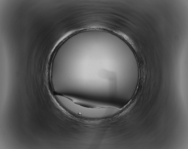 X0000082971134200703020228